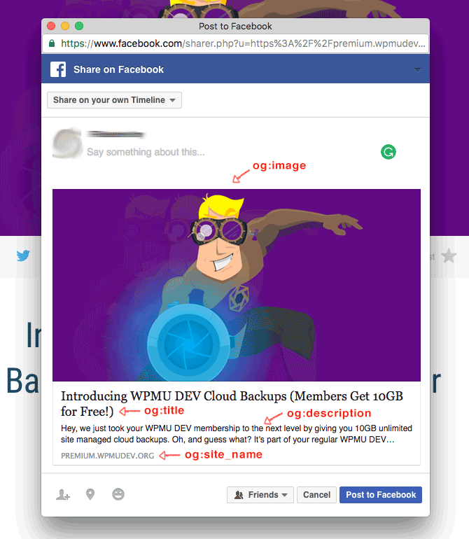 What is Facebook Open Graph Metadata ? Bravo Net Solution